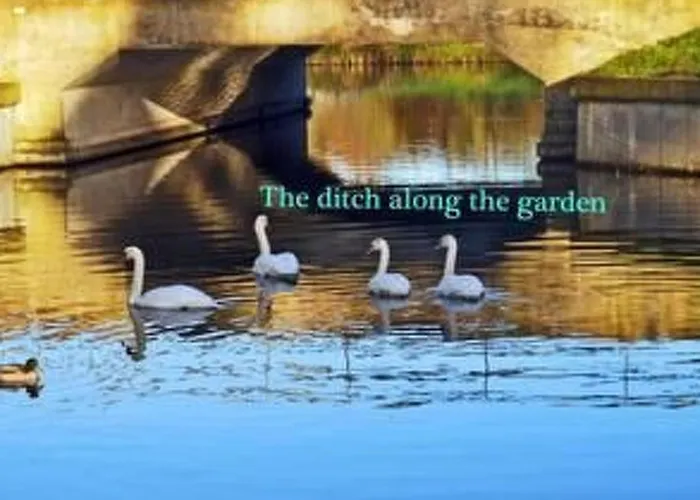 Markermeerlogies By Interhome Holiday home Bovenkarspel